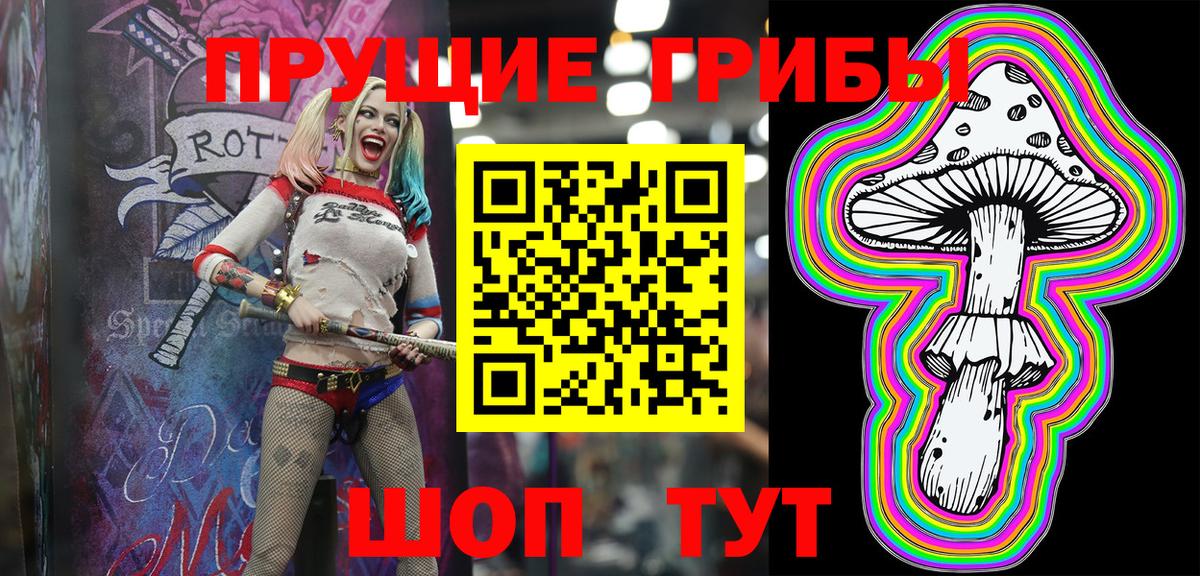 Галлюциногенные грибы Psilocybine cubensis Рузаевка
